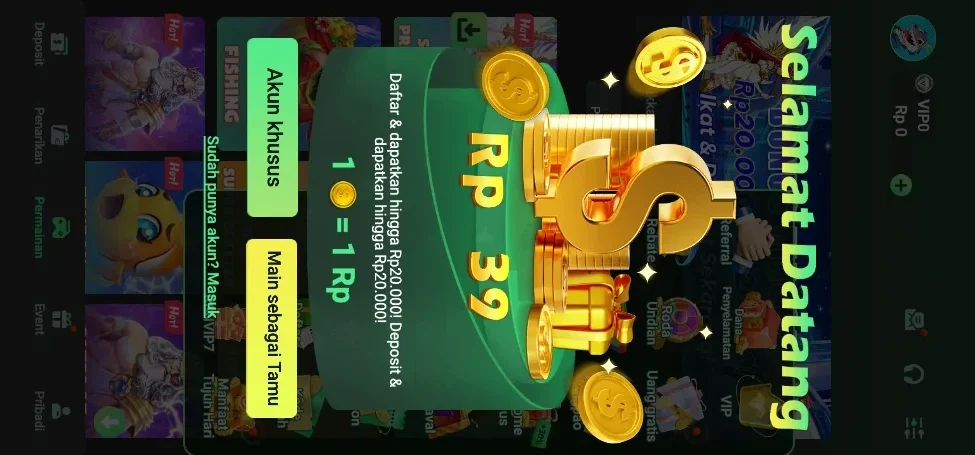 RSNVIP6